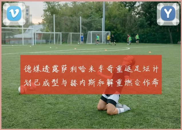 德媒透露萨利哈米季奇重返足坛计划已成型与赫内斯和解重燃合作希望