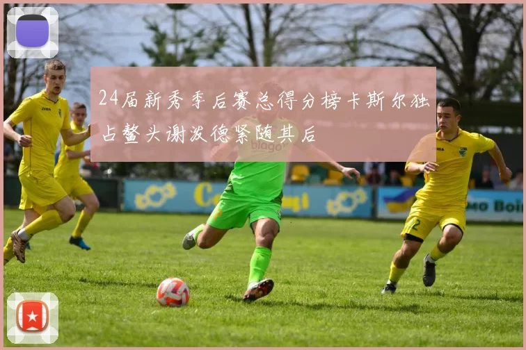 24届新秀季后赛总得分榜卡斯尔独占鳌头谢泼德紧随其后
