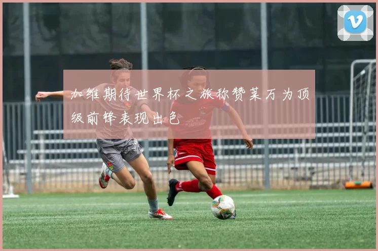 加维期待世界杯之旅称赞莱万为顶级前锋表现出色